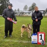 Norsjöutställningen 2025