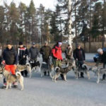 Ringträning i Lycksele