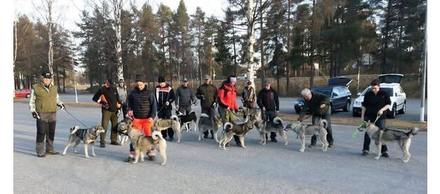 Ringträning i Lycksele