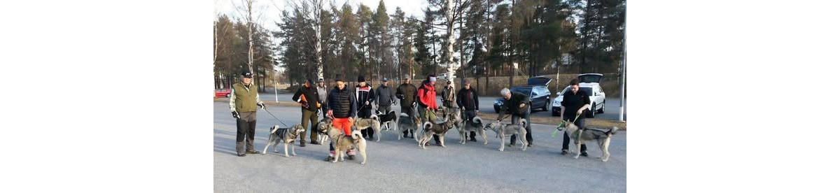 Ringträning i Lycksele